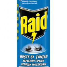 Raid Spray împotriva muștelor și țânțarilor, 400 ml