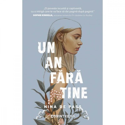 Un An Fara Tine, Nina De Pass - Editura Corint foto