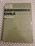 Raspunderea civila Ion M. Anghel