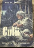 LITR22 IUH - Mulk Raj Anand - Culii