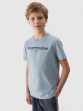 Tricou cu imprimeu pentru băieți - albastru, 4F Sportswear