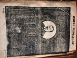 Cumpara ieftin Regele pungasilor volumul 2 - roman in fascicole