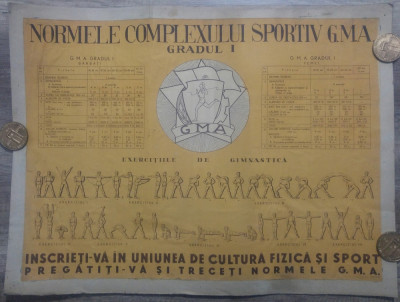 Normele Complexului Sportiv GMA, gradul I// plansa foto