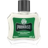 Proraso Refreshing balsam pentru barba 100 ml