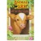 Lucy Daniels - Calf in the Cottage - 113036