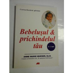 BEBELUSUL &amp; PRICHINDELUL TAU - ANNE MARIE MUESER