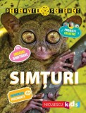 Simțuri. Seria Discover Science - Paperback - Jinny Johnson - Niculescu