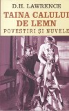 D.H. Lawrence - Taina calului de lemn. Povestiri si nuvele