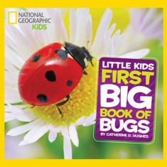 Little Kids First Big Book of Bugs