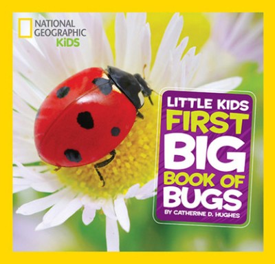 Little Kids First Big Book of Bugs foto