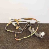 Cablaj ușă dreapta spate TOYOTA PRIUS Hatchback _W2_ 2008 OEM: 8215347130 2954033