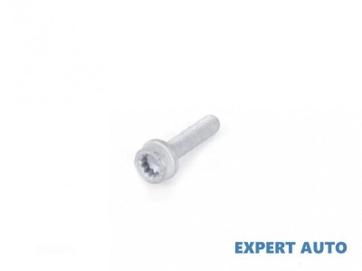 Surub Audi Q7 (2005-2009) [4L] foto