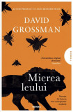 Mierea leului - Paperback brosat - David Grossman - Nemira
