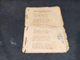 C&acirc;ntece de petrecere, Foaie verde fir lalea, Leliță c&acirc;rciumăreasă, Așa-i place babei mele, Dorule și-o boală grea, circa 1930, 156