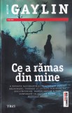 Ce a ramas din mine - Alison Gaylin, Thriller Psihologic, Editura Trei, 2017, Crime, Romana, Brosata