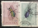 Timbre - Polonia Polska - >50 - Serie - Tematica Animale