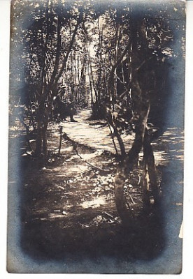 D11 A 37 - Felicitare de colectie - de la inceputul anilor 1900 foto