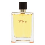 Hermes, Terre d'Hermes, Apă de toaletă, Pentru bărbați, 200 ml