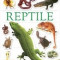 Reptile [With More Than 60 Reusable Full-Color Stickers]