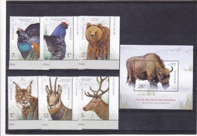 ROMANIA 2019 - FAUNA PROTEJATA DIN ROMANIA - COLITA - SERIE, LP 2237,MNH. foto