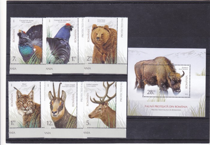 ROMANIA 2019 - FAUNA PROTEJATA DIN ROMANIA - COLITA - SERIE, LP 2237,MNH.