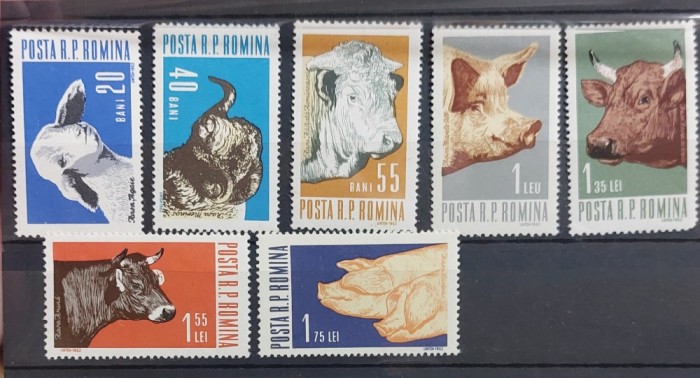 Romania 1962 - Animale de rasa MNH
