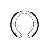 Set saboti frana mana Delphi LS1371, parte montare : Punte Spate