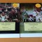 William Thackeray - B&acirc;lciul deșertăciunilor (2 volume)