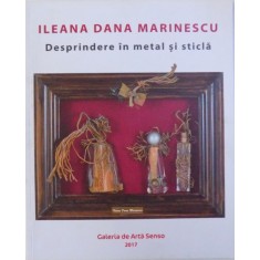 DESPRINDERE IN METAL SI STICLA - ILEANA DANA MARINESCU , 2017