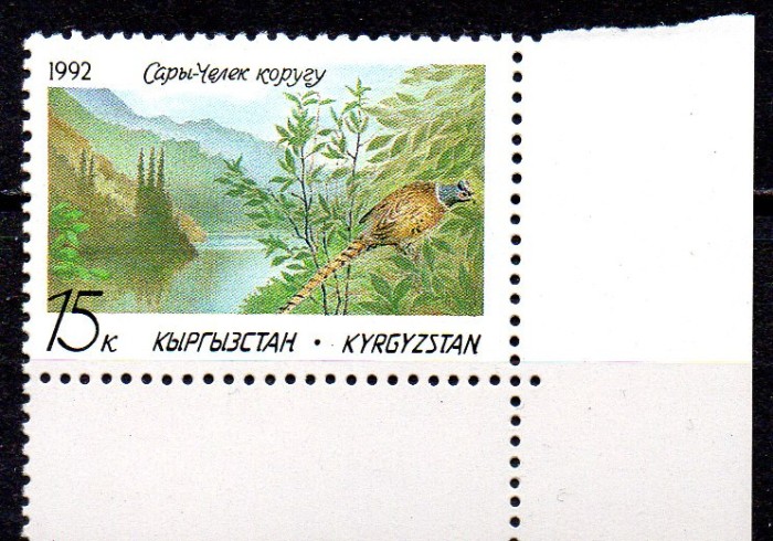 KIRGHIZSTAN, K&Acirc;RG&Acirc;ZSTAN, Kyrgyzstan 1992, Fauna, Pasari, serie neuzata, MNH