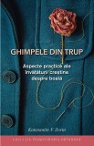 Cumpara ieftin Ghimpele Din Trup. Aspecte Practice Ale &Icirc;nvățăturii Creștine Despre Boală, Konstantin V. Zorin - Editura Sophia