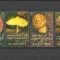 GRENADINES OF ST VINCENT 1992 CIUPERCI