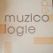 Studii de muzicologie vol VIII