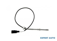 Senzor temperatura gaze dpf Audi A6 (2004-2008) [4F2, C6] #1
