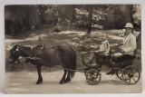 COPII IN TRASURICA TRASA DE PONEI , BUDAPESTA , CARTE POSTALA , 1942