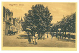 460 - ORADEA, Market, Romania - old postcard - unused - 1916, Necirculata, Printata