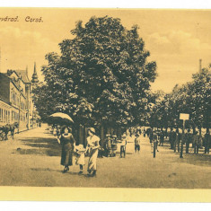 460 - ORADEA, Market, Romania - old postcard - unused - 1916