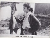 bnk foto - Unde la soare e frig - fotografie de panou 24x18 cm