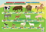 Plansa Animale domestice - Autor Anonim - Editura Ars Libri