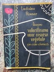 DESPRE VALORIFICAREA UNOR RESURSE VEGETALE PE CALE CHIMICA de LADISLAU ROSNER foto