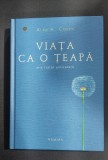 Viata ca o teapa - mic tratat antiratare , Alan H. Cohen , 2005