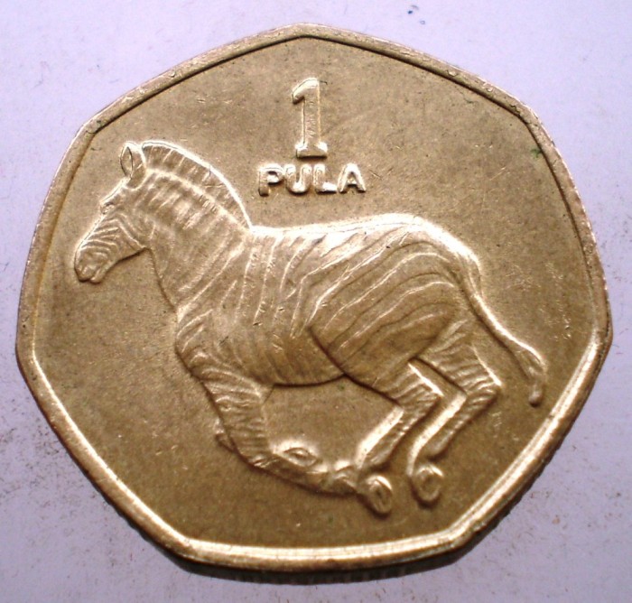 7.018 BOTSWANA 1 P U L A 2007