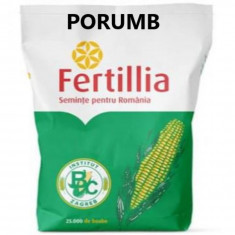 Seminte Porumb Jumbo 48 FAO 480 sac 25 000