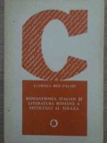 ROMANTISMUL ITALIAN SI LITERATURA ROMANA A SECOLULUI AL XIX-LEA-LUMINITA BEIU-PALADI-351516