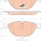 TRW GDB1838 COTEC set placute frana,frana disc