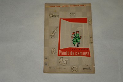 Plante de camera - Paul Dabija - 1962 foto