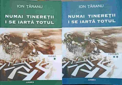 NUMAI TINERETII I SE IARTA TOTUL VOL.1-2-ION TARANU-250404 foto