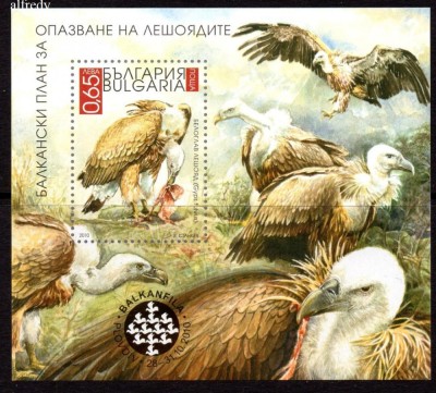 BULGARIA 2010, Fauna, Pasari, serie neuzata, MNH foto