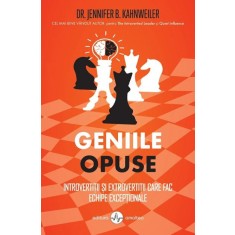 Geniile opuse. Introvertitii si extrovertitii care fac echipe exceptionale - Jennifer B. Kahnweiler