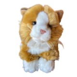 Pisica de Plus Nat Geo Portocalie, 22 cm, Jucarie Copii, Animal de Plus Realist, Cadou Ideal, Unisex, 3+ ani